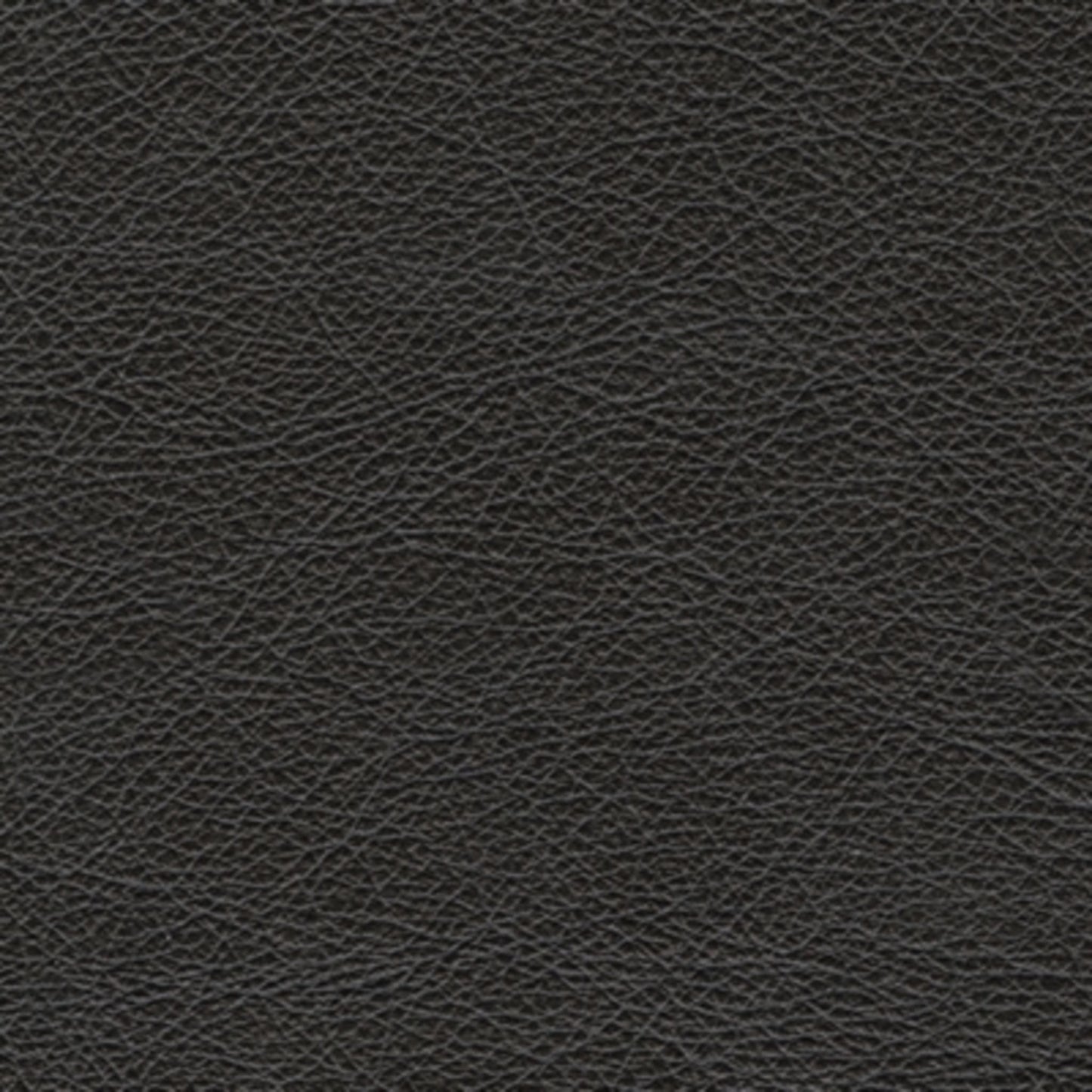 Amiata Sofa - Onyx