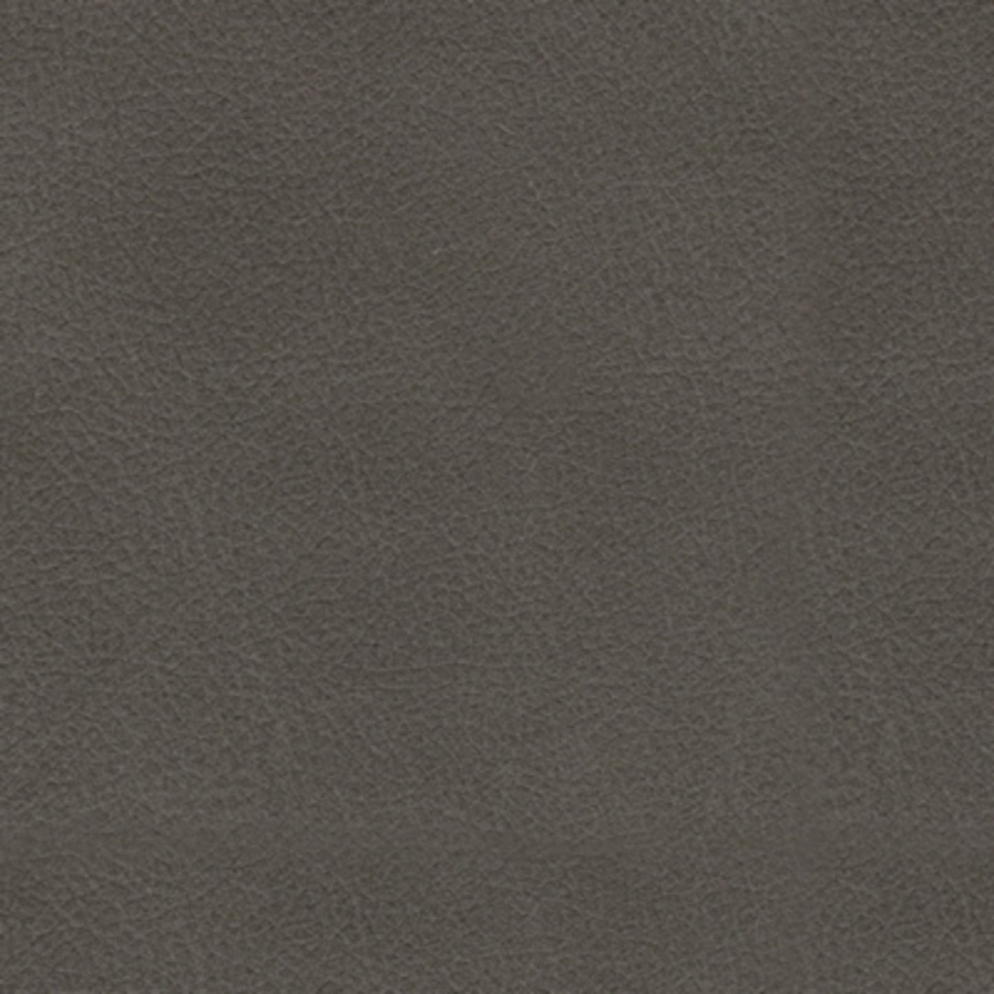 Calderwell Reclining Sofa - Gray