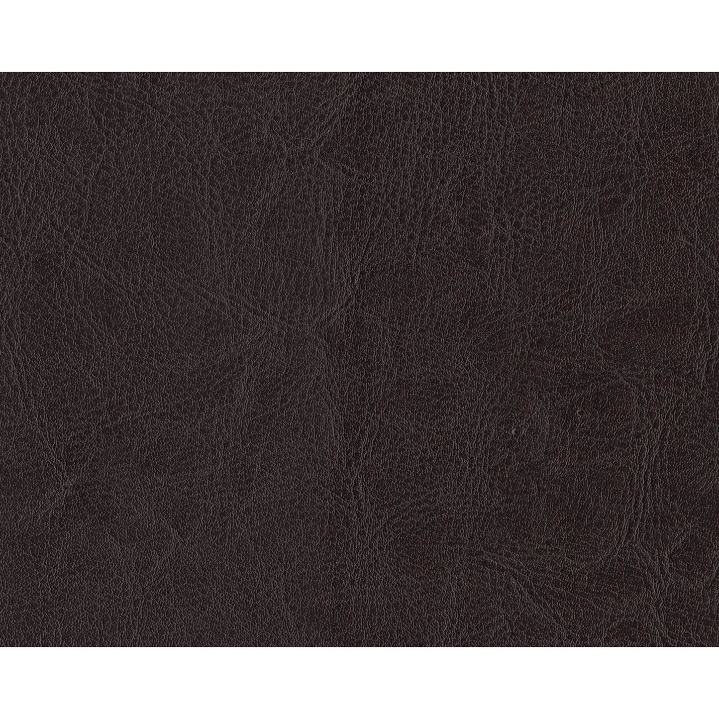 Earhart Reclining Sofa - Chestnut