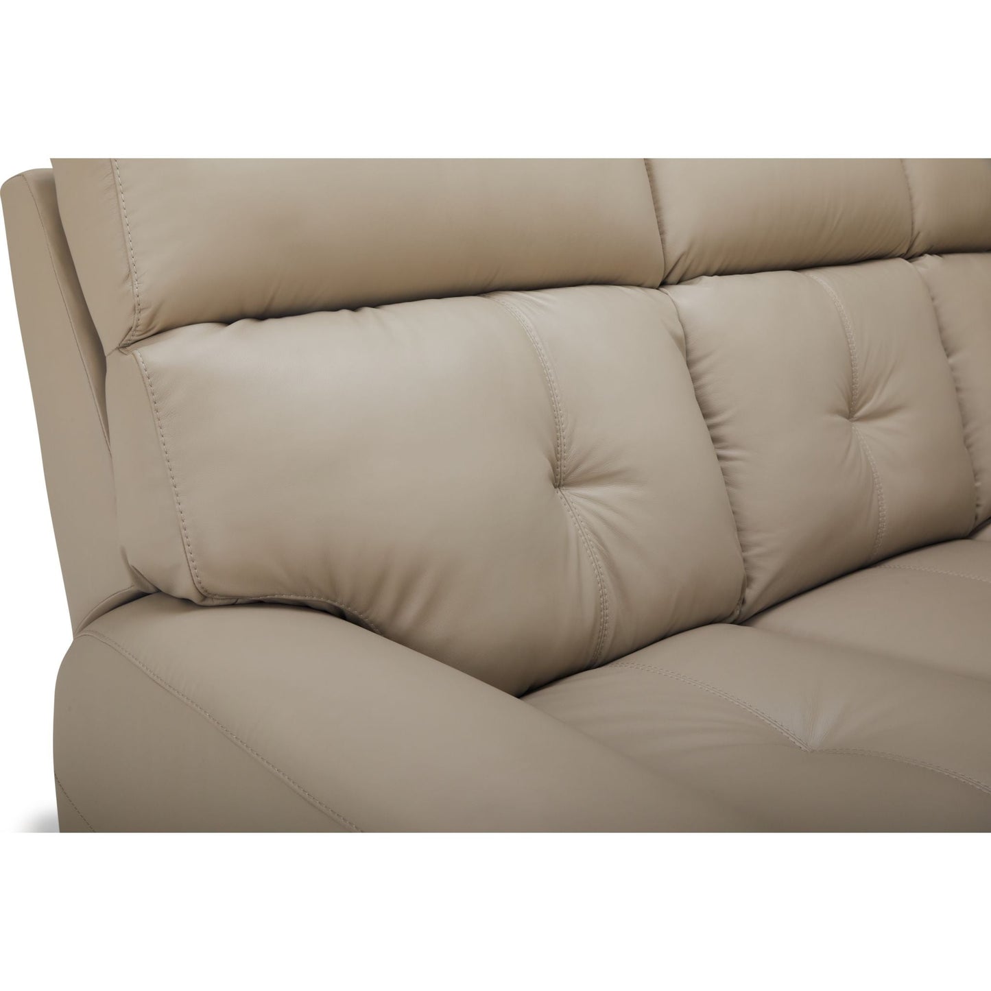 Aedon Power Reclining Sofa with Headrest and Lumbar - Bali Harvest