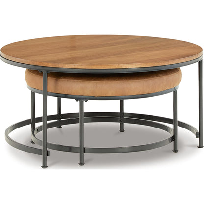Drezmoore Nesting Coffee Table (Set of 2)