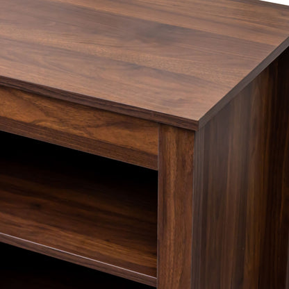 Brenna TV Stand with Fireplace