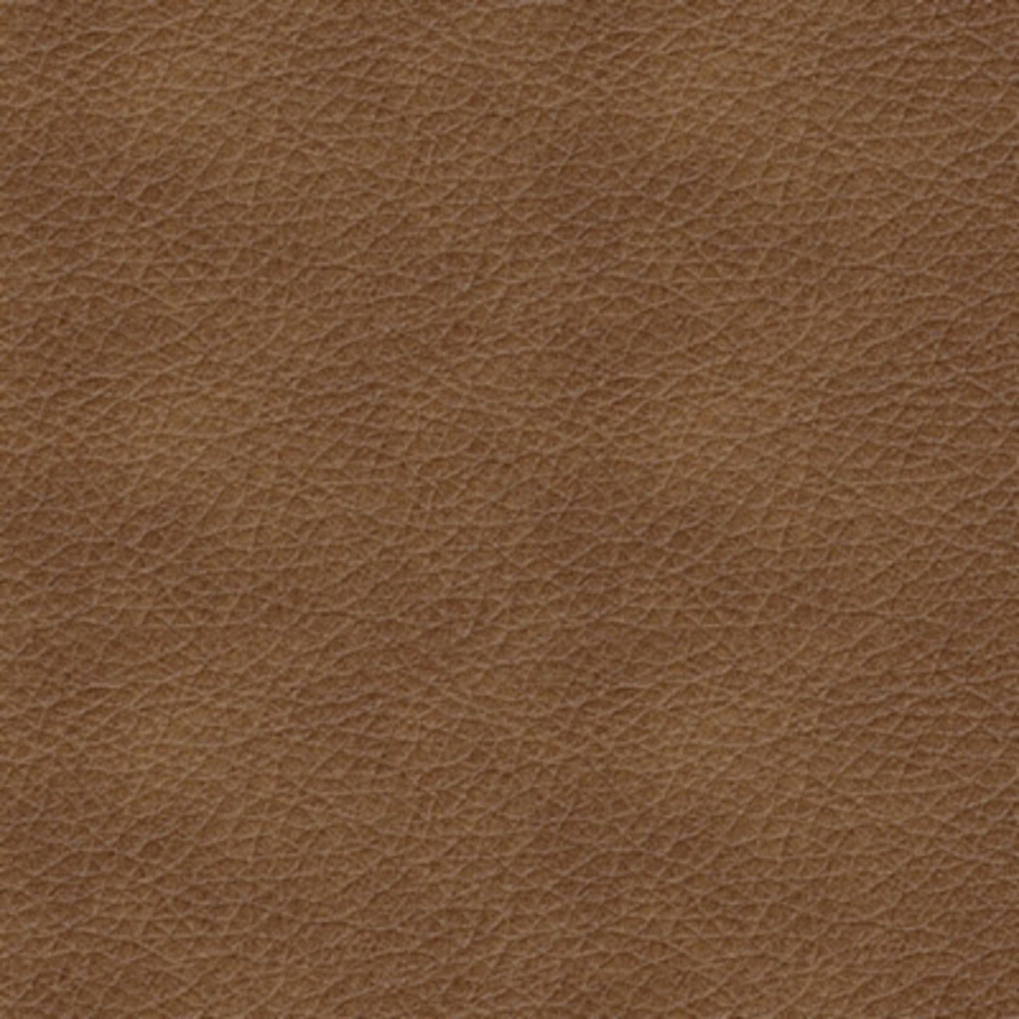 Bolsena Loveseat - Caramel